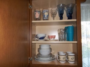 This is my dish cabinet arranged but without the organizer.