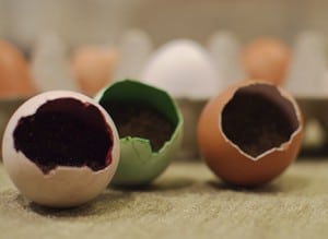 egg planters colored with natural food coloring