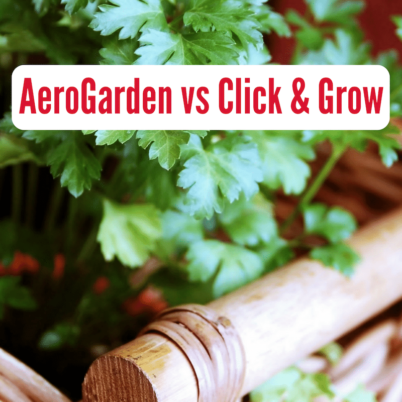 Aerogarden vs click and grow