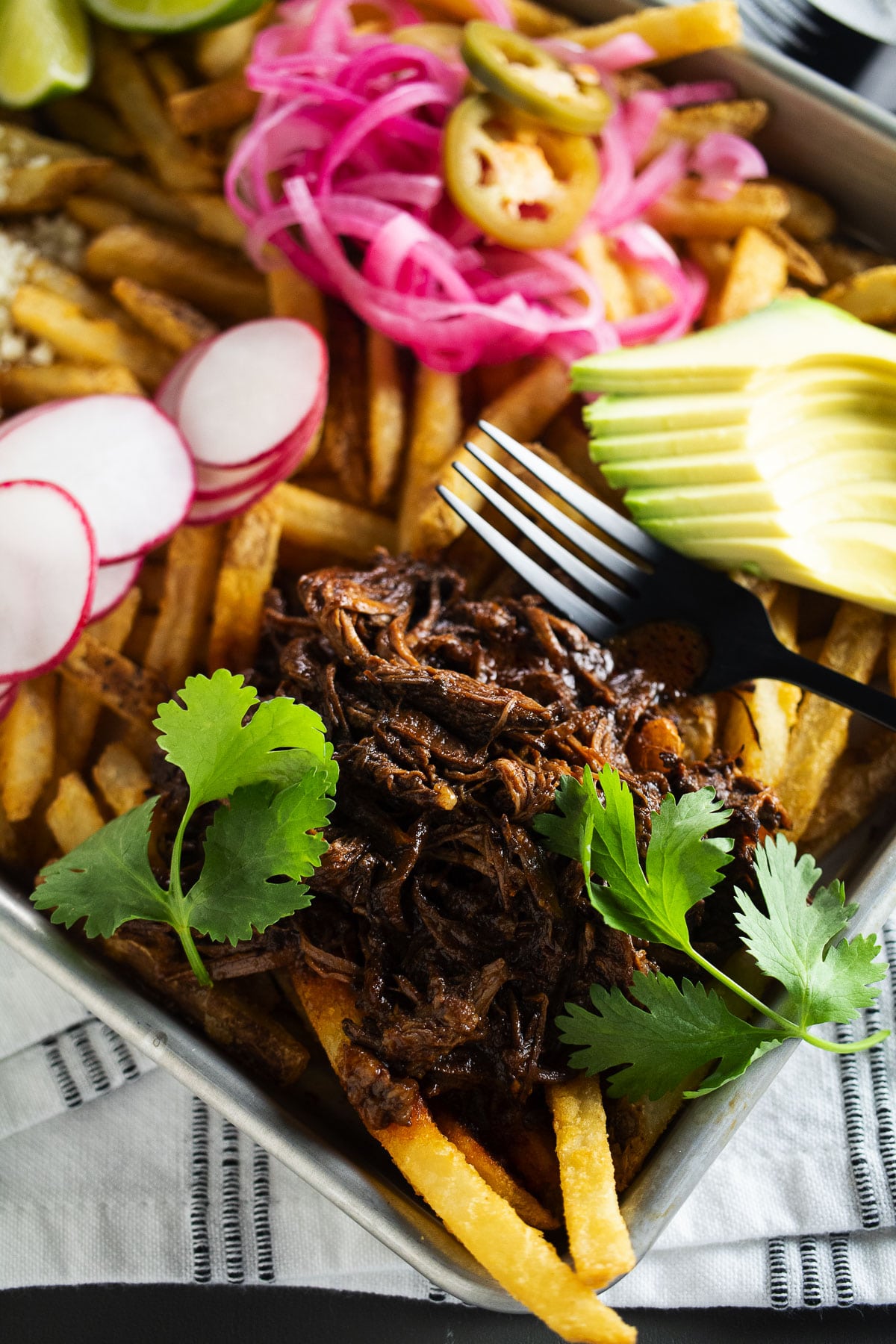 This image is our birria fries up close. Any close and you would smell it through the screen.