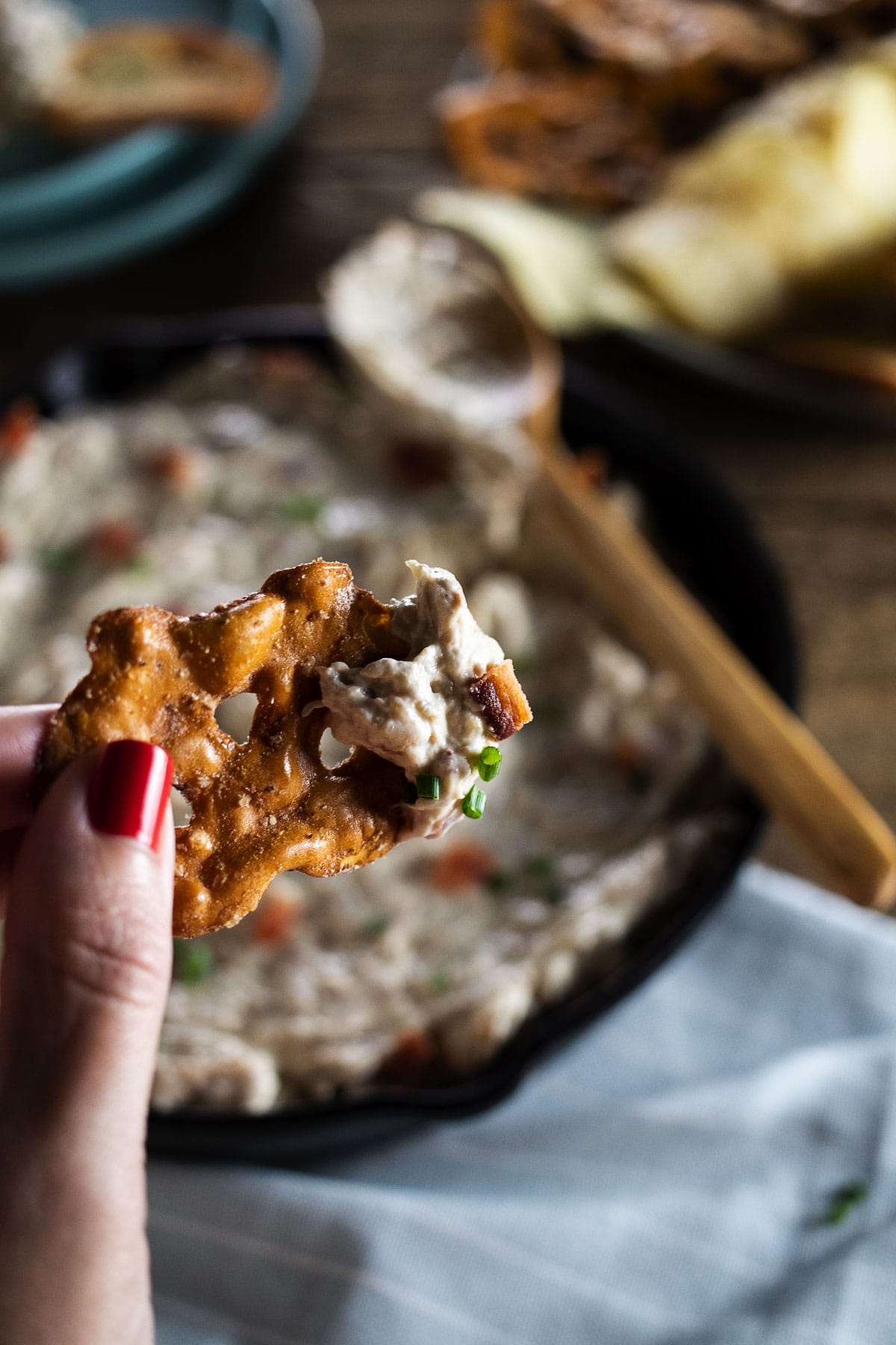 This is a dip shot of our slow cooker caramelized onion bacon dip.