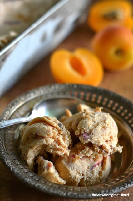 Chunky apricot ice cream from The View From Great Island.