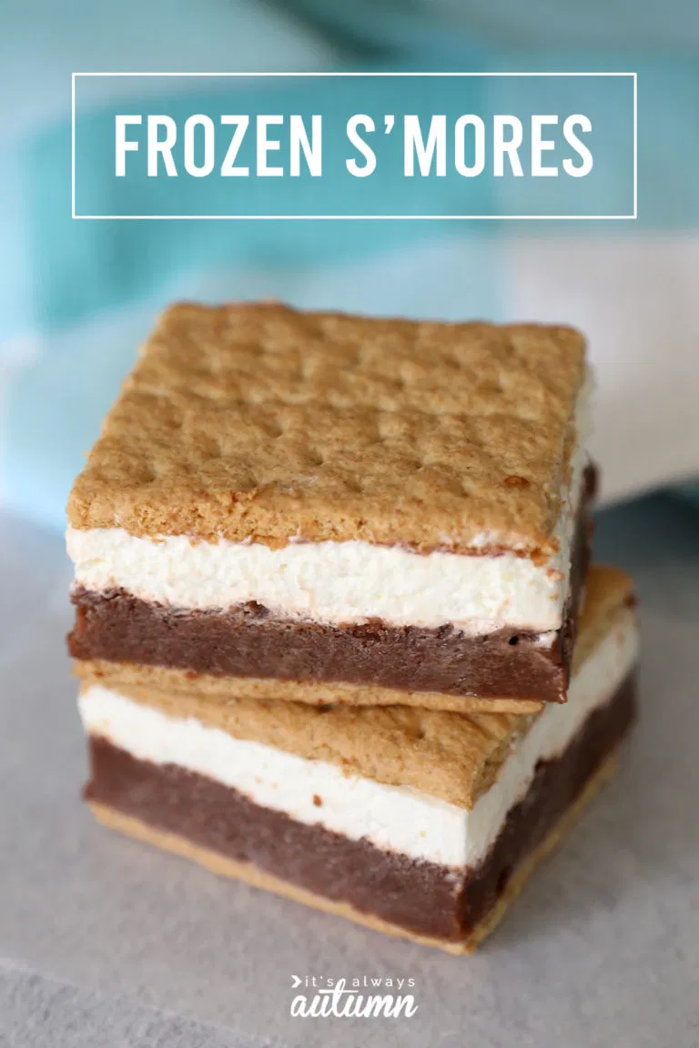 Frozen s'more sandwiches from It's Always Autumn.
