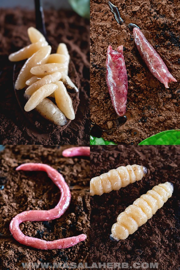 Candy maggots (upper left), candy slugs (upper right), candy earthworms (lower left), and candy grubs (lower right).