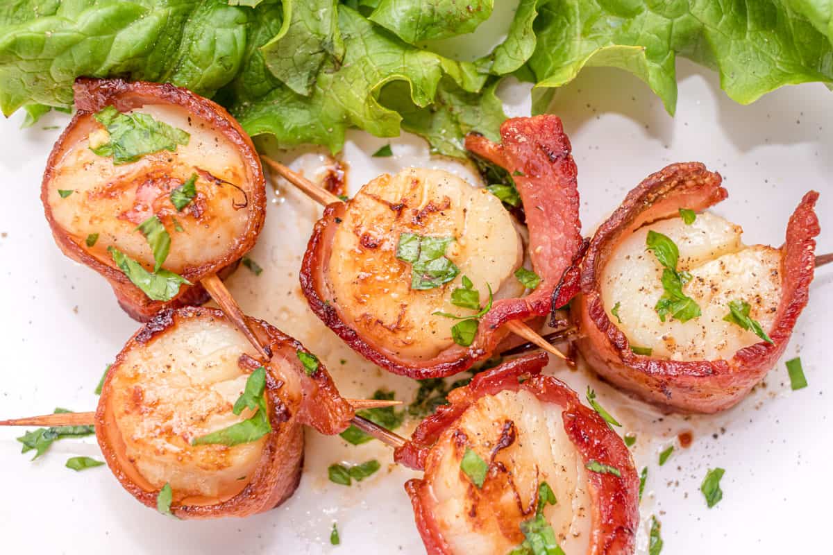 Bacon wrapped scallops on a white plate.