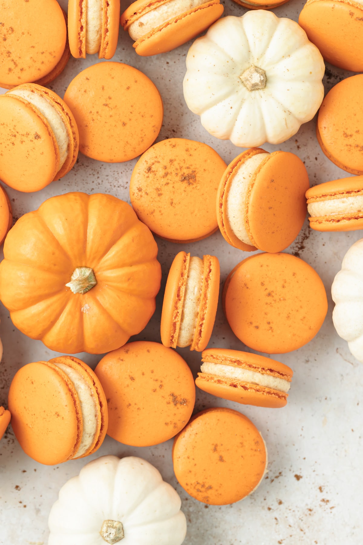 Pumpkin spice macarons with miniature pumpkins.