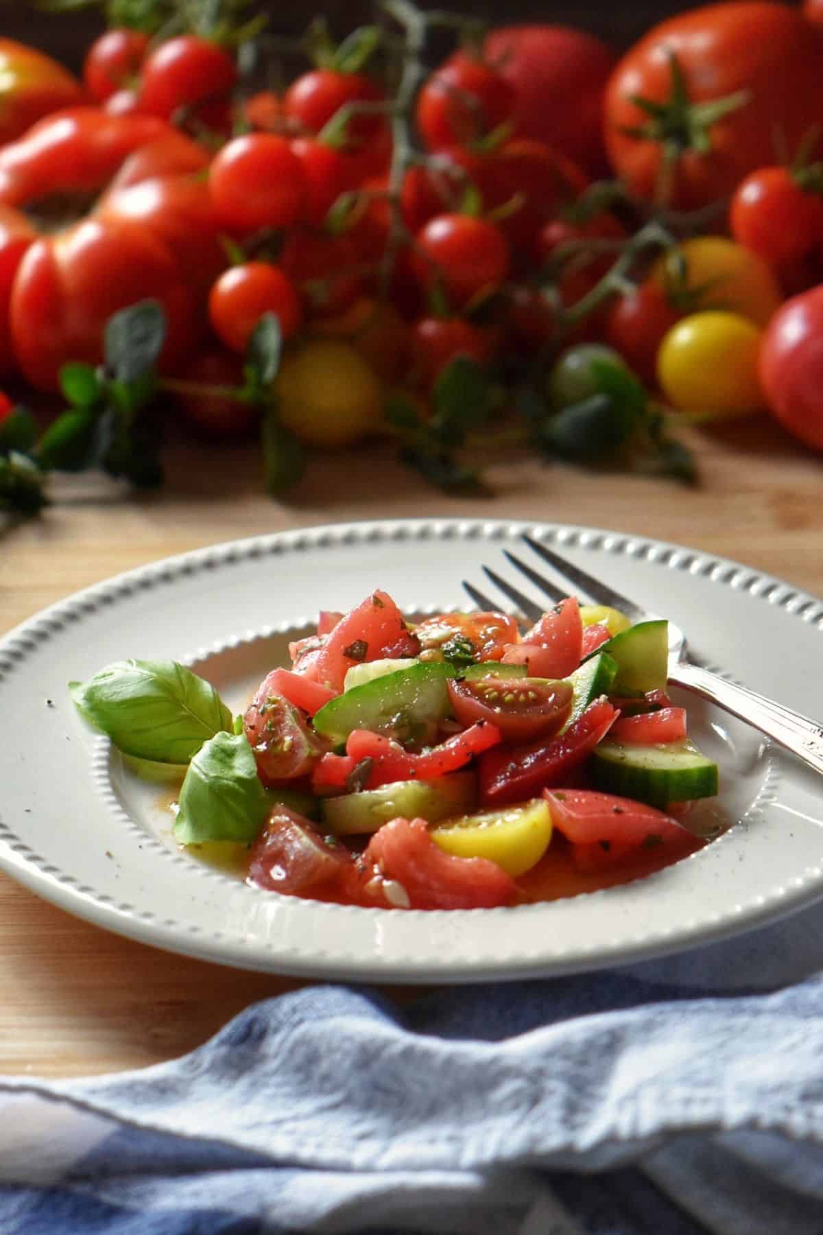 Italian tomato salad with cucumbers on white plate.