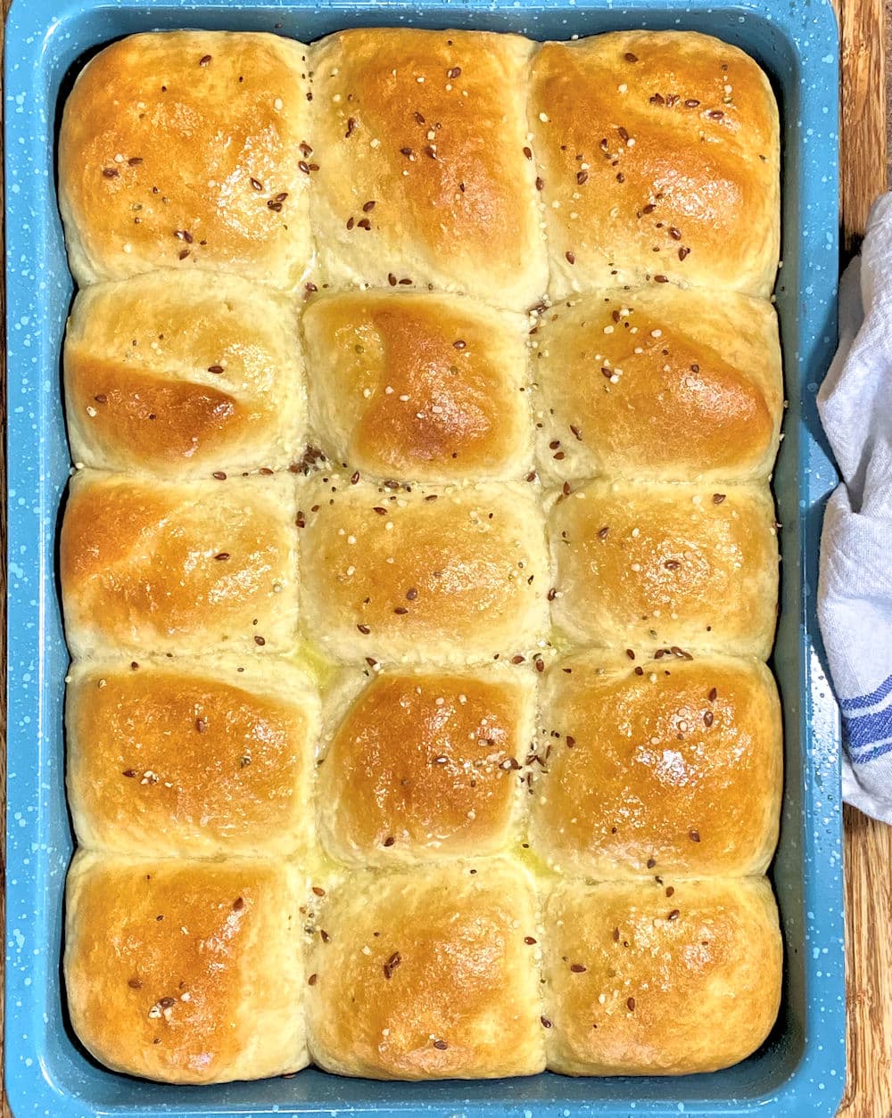 Potato dinner rolls in a blue baking pan.