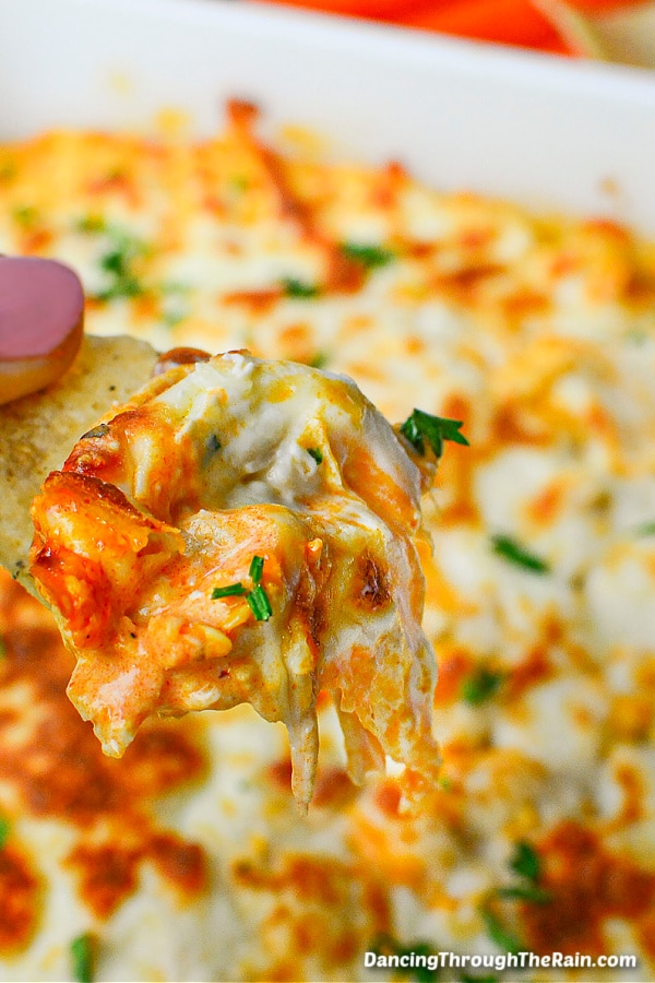 Hand holding chip dipped in buffalo chicken dip.