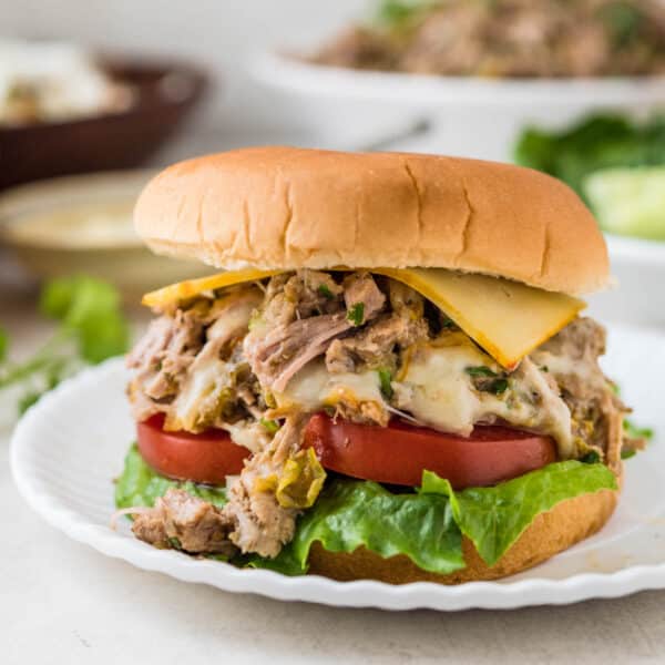 Hatch green chile pulled pork sandwich on a white plate.