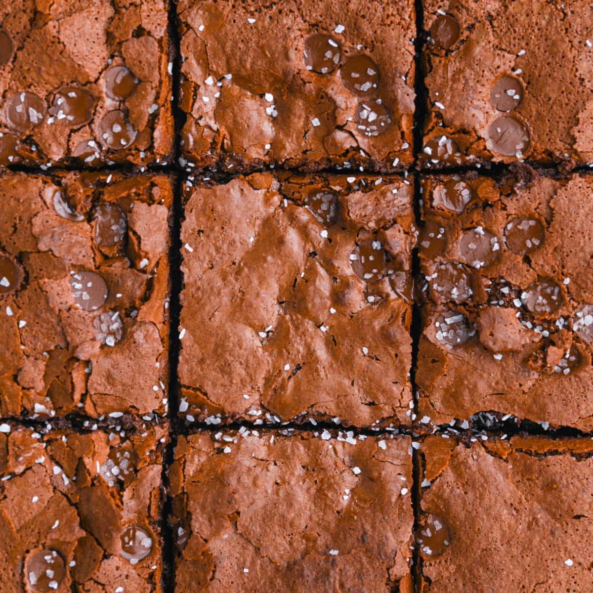 Chewy condensed milk brownies cut into nine pieces.