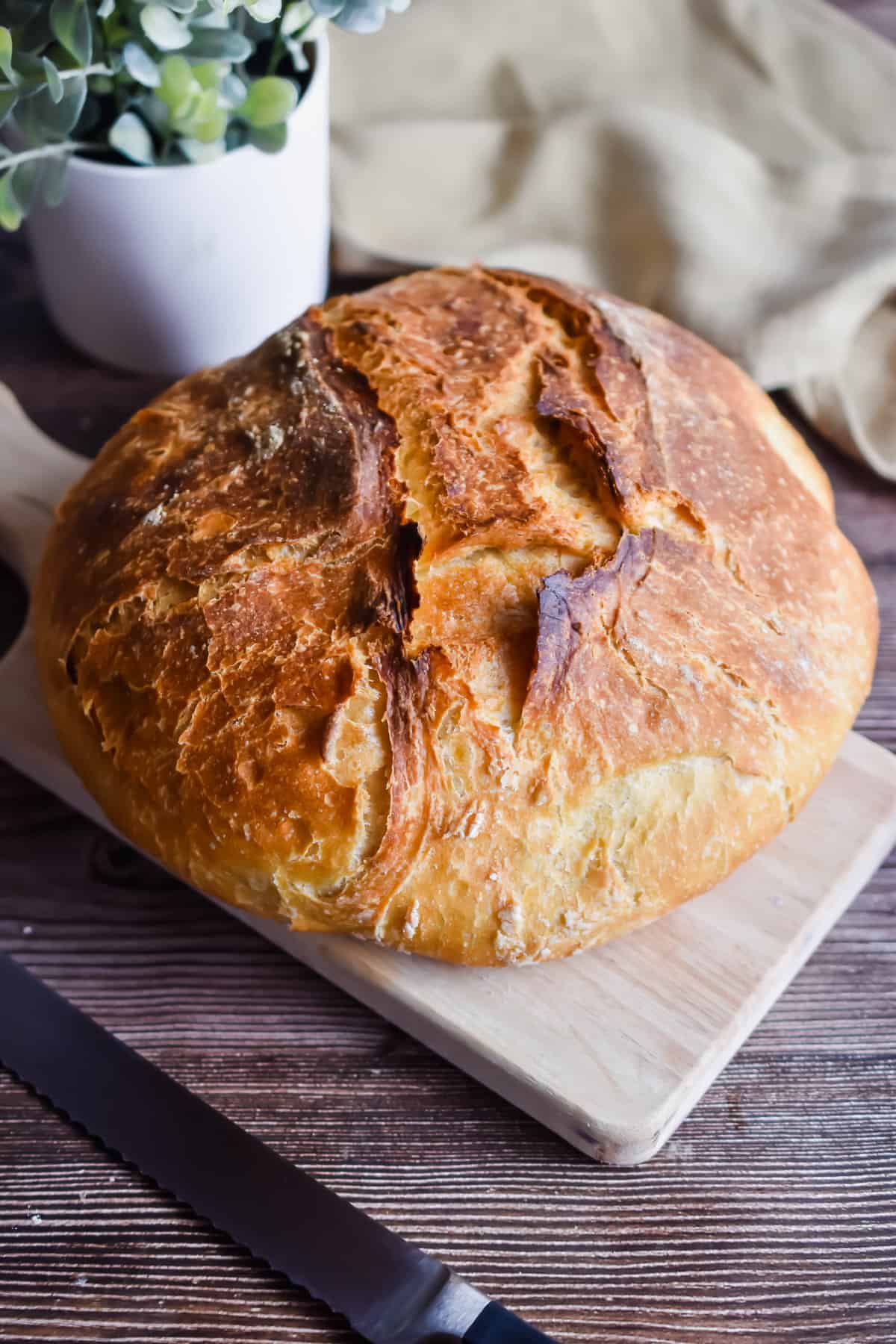 Instant pot no knead bread on a wooden cutting board.