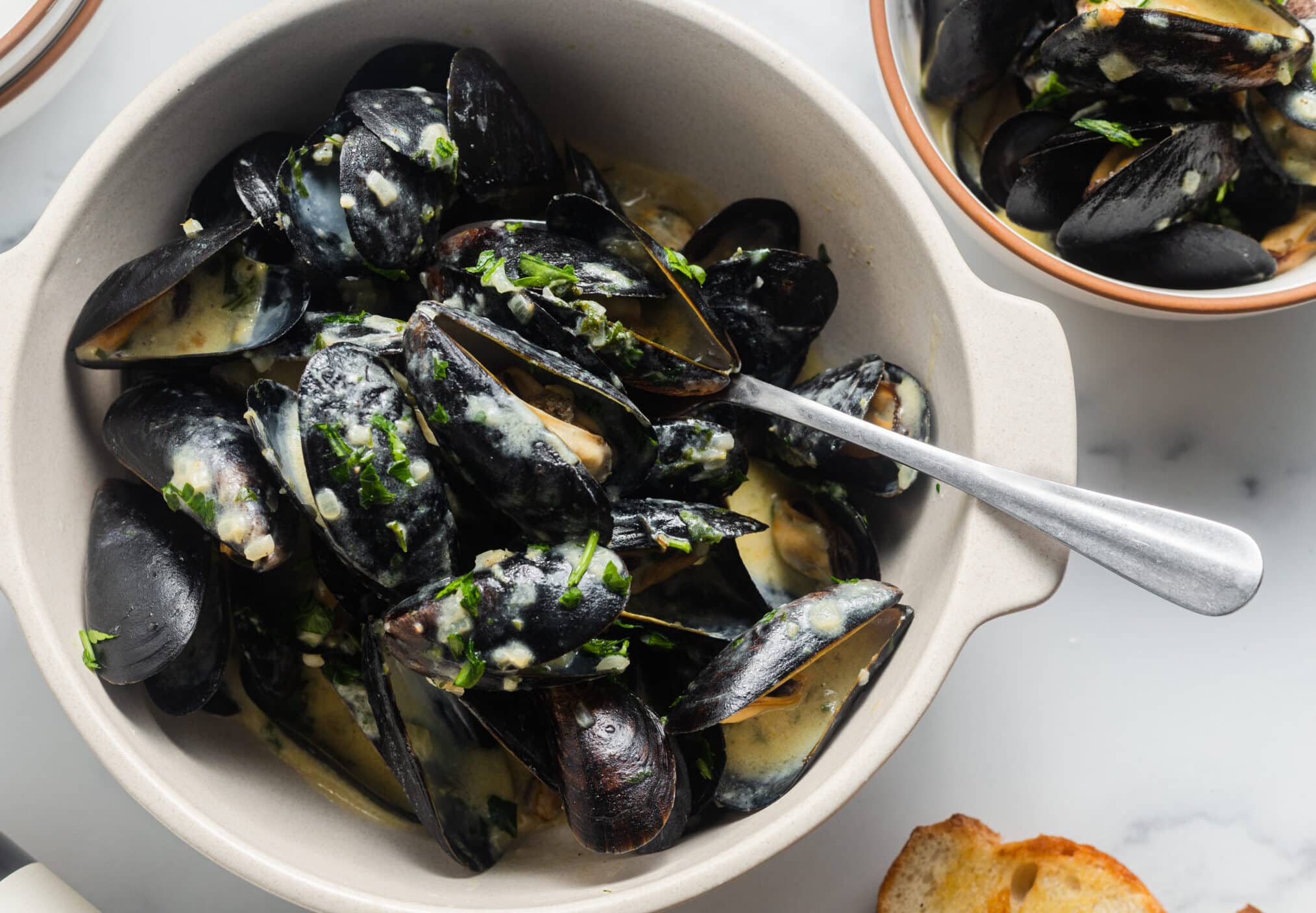 Mussels on cream sauce, garlic, and lemon in a bowl.