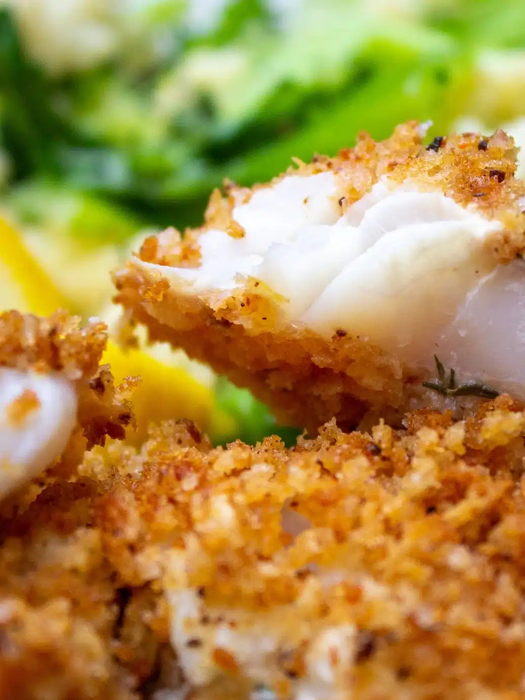 Piece of crispy baked fish.