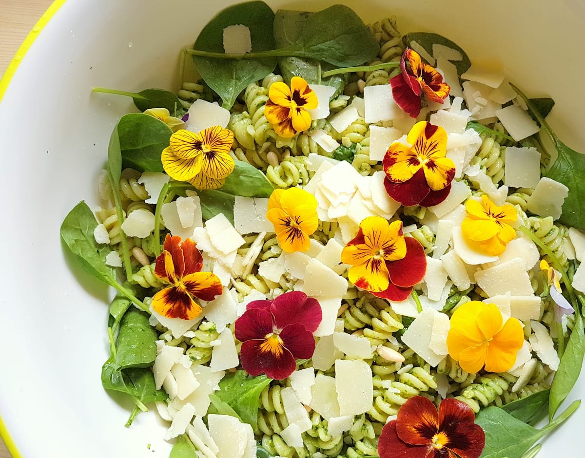 Green pasta salad with edible flowers.