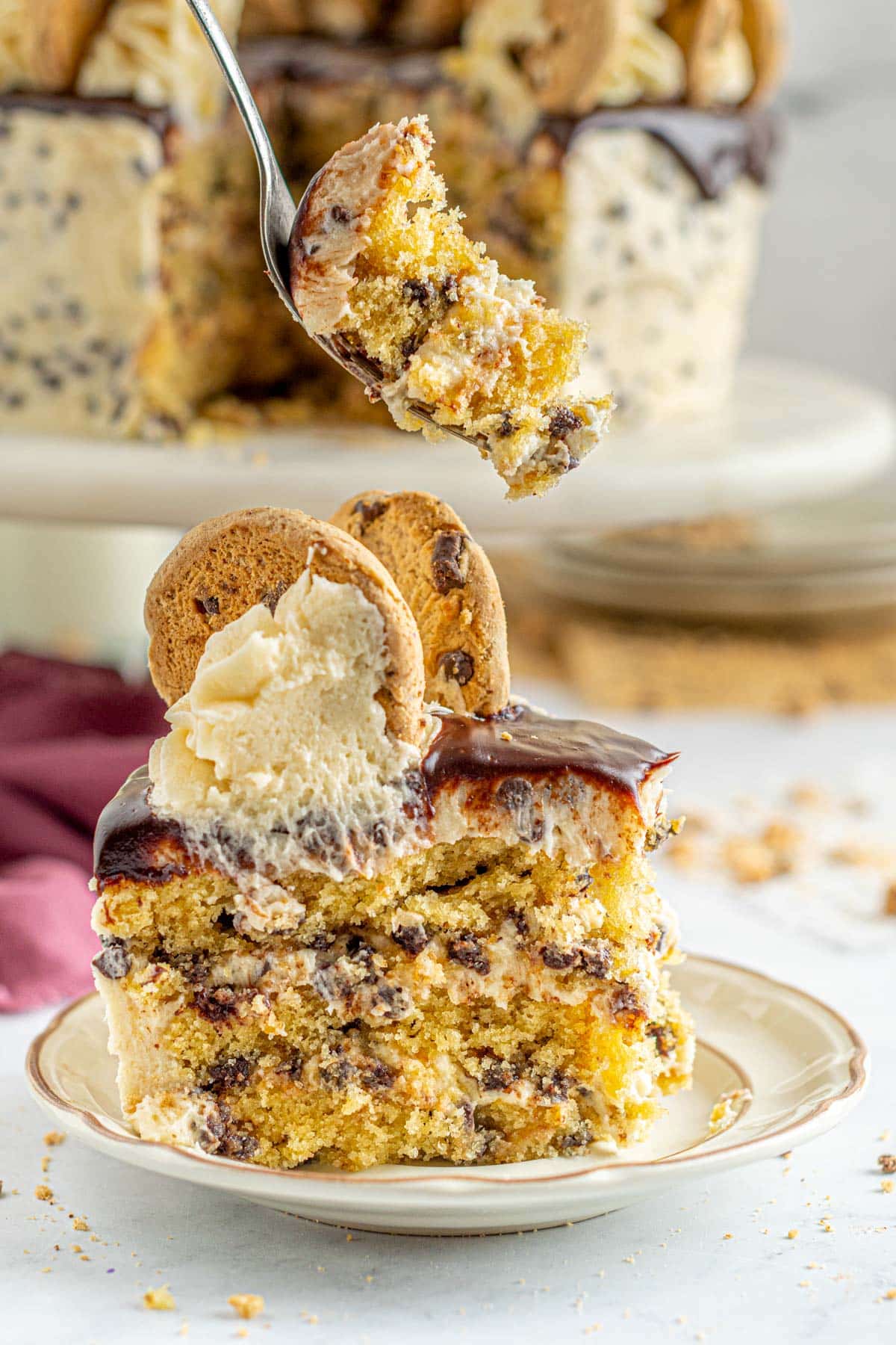 Slice of chocolate chip cookie cake.