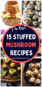 Pin for stuffed mushrooms showing various stuffed mushroom recipes.