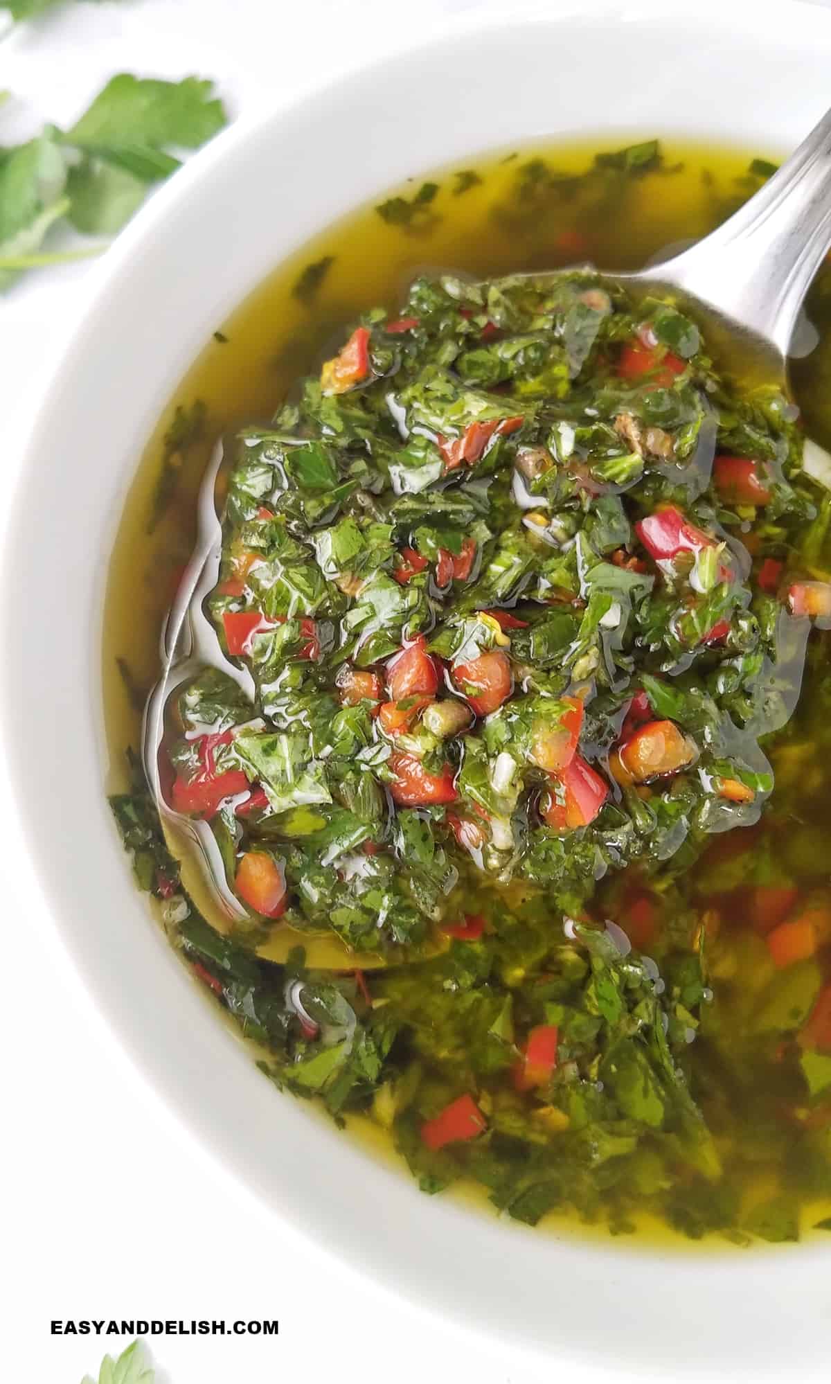 Spoonful of chimichurri.