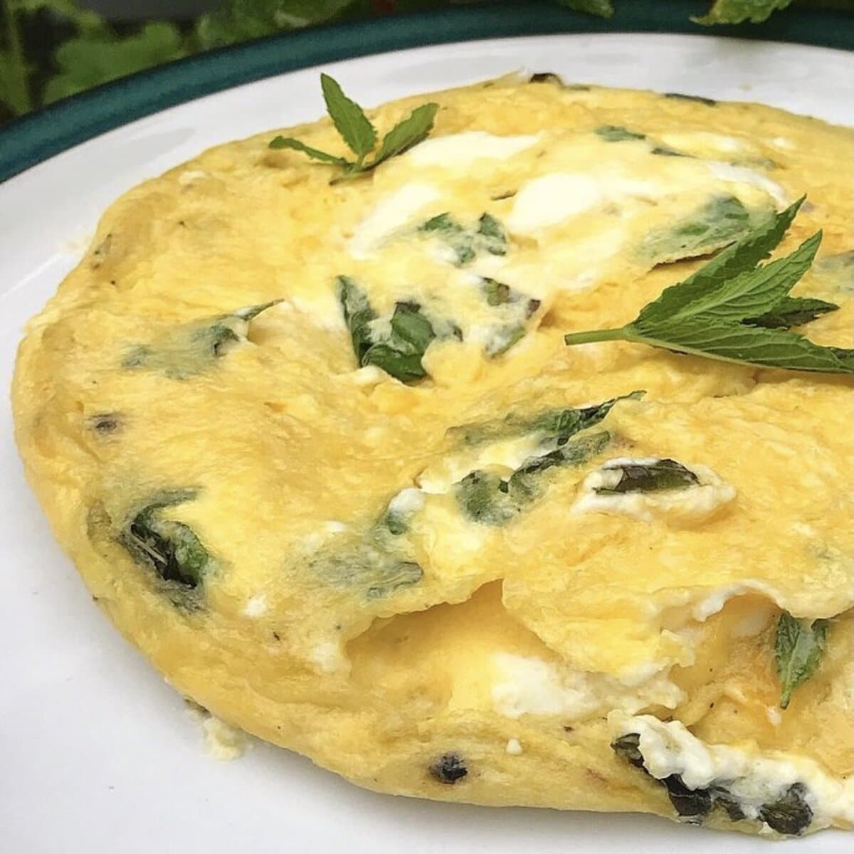 Corsican mint omelet on a plate.