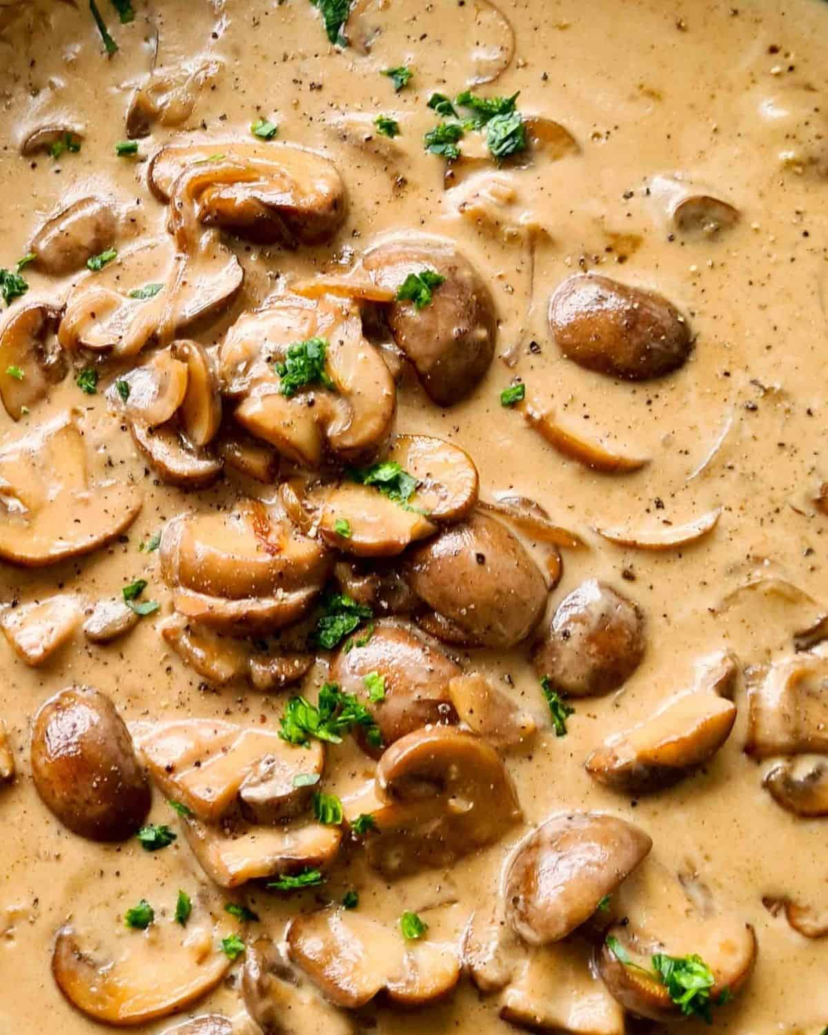 Close up of creamy mushroom sauce.