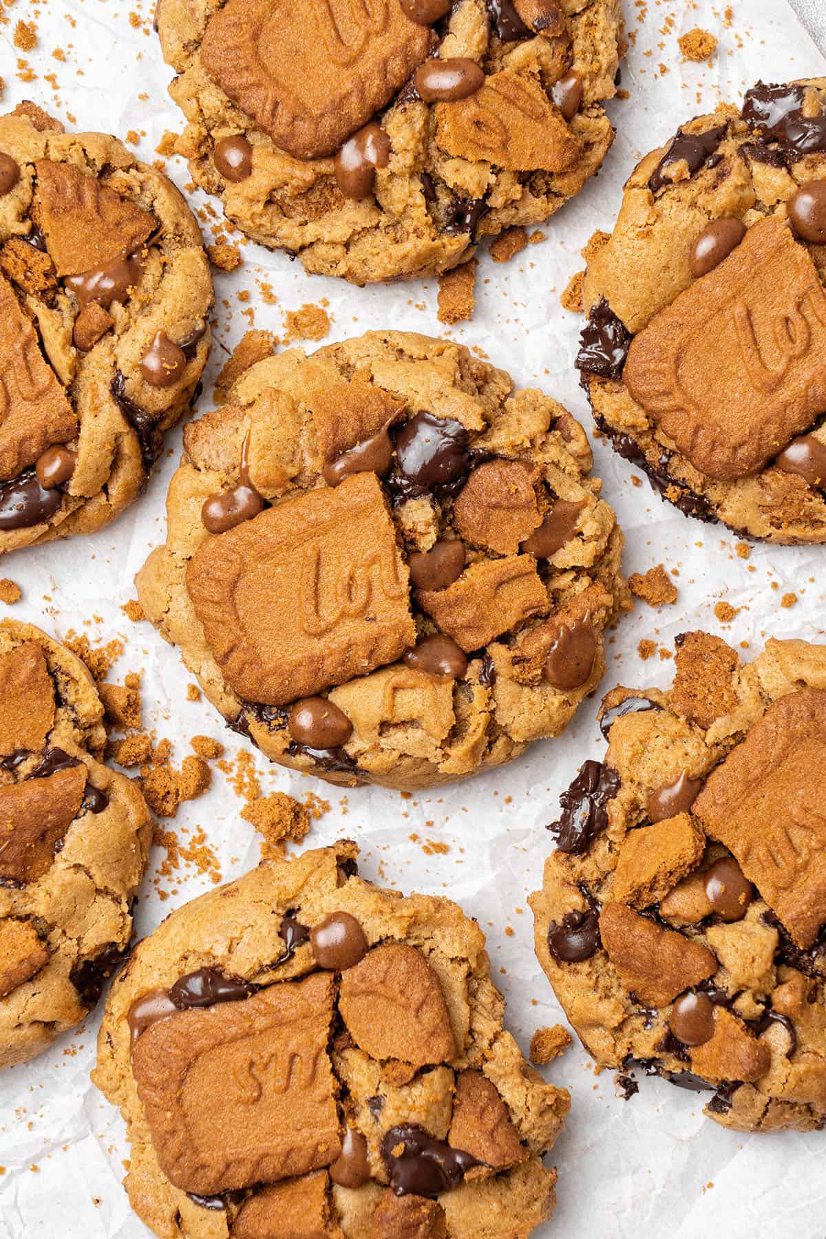 Closeup of Biscoff butter cookies.