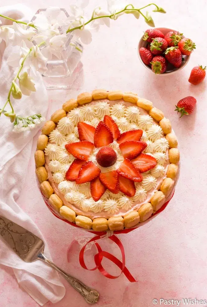 A round strawberry charlotte cake with piped cream, ladyfinger border, and fresh strawberries on top, tied with a red ribbon.