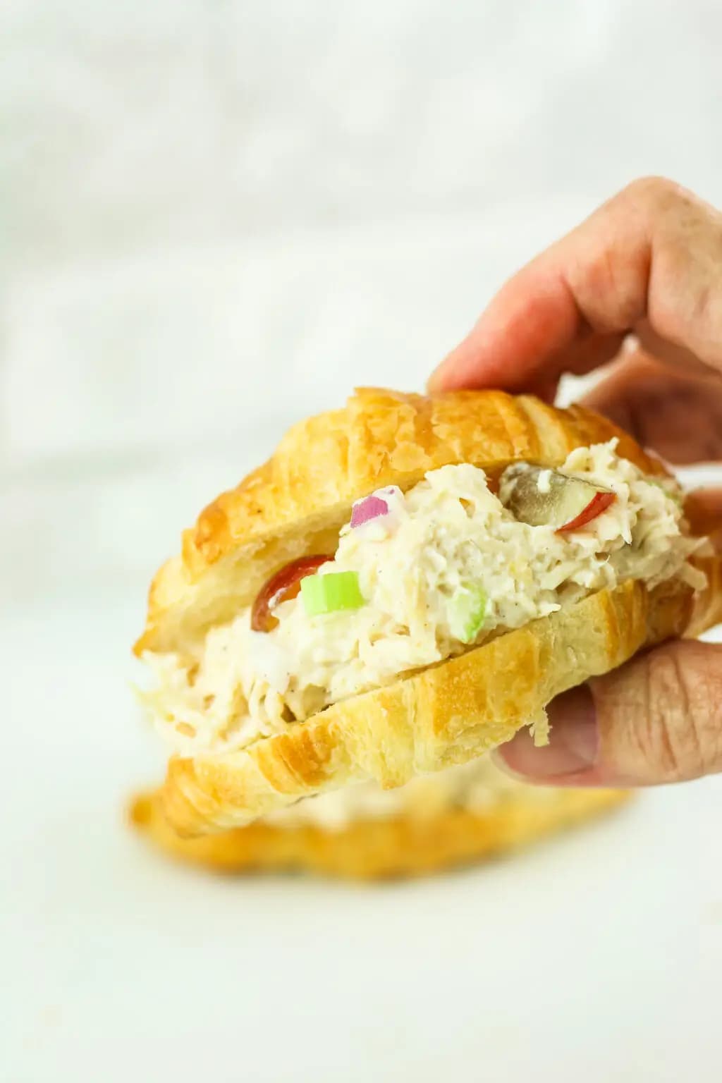 Chicken salad with grapes and celery on a croissant.