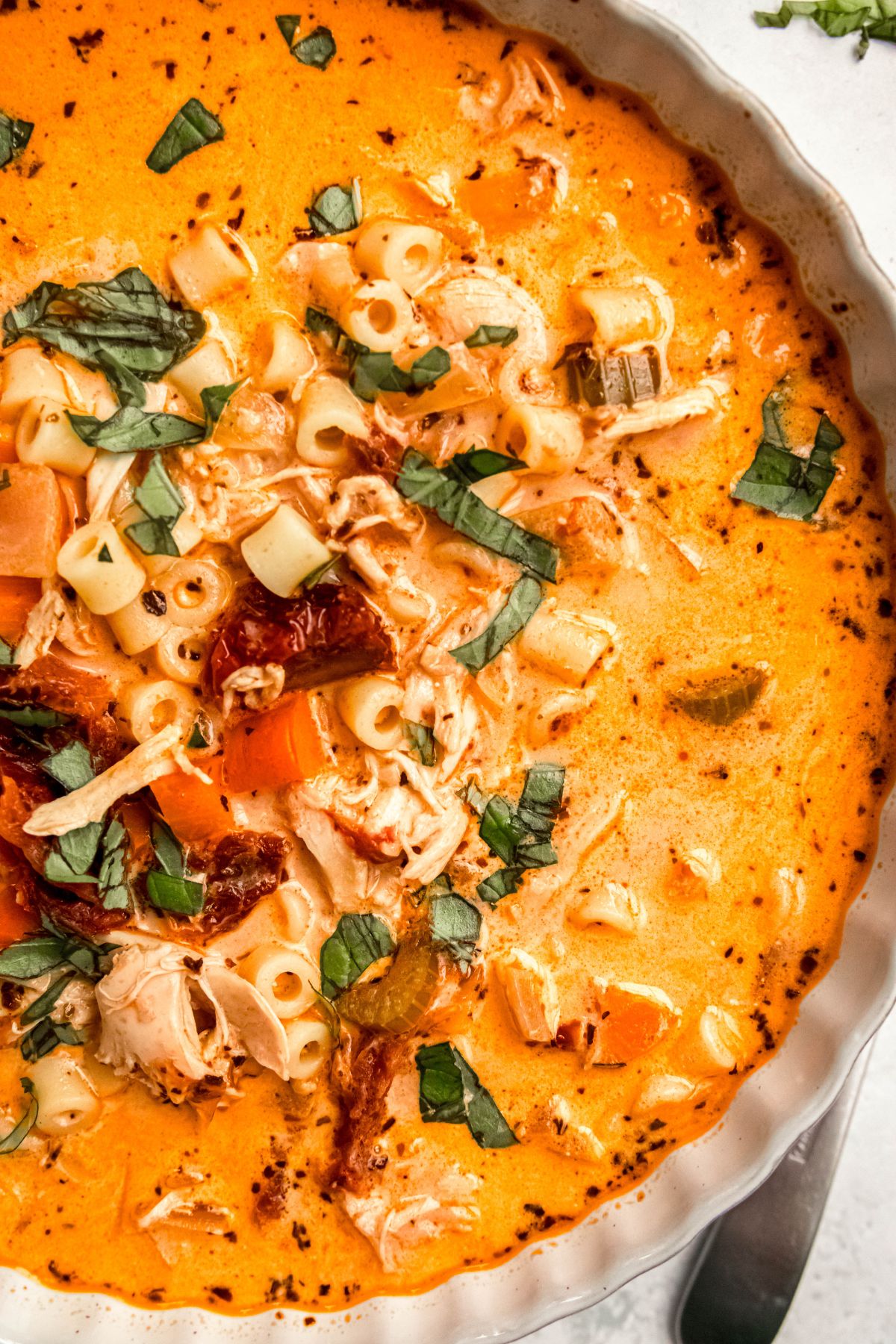 Creamy tomato chicken soup with pasta, herbs, and vegetables.