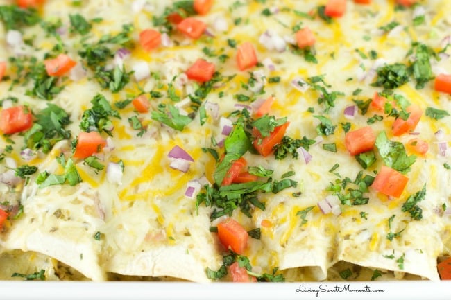 Salsa verde chicken enchiladas with cheese, tomatoes, onions, and cilantro.