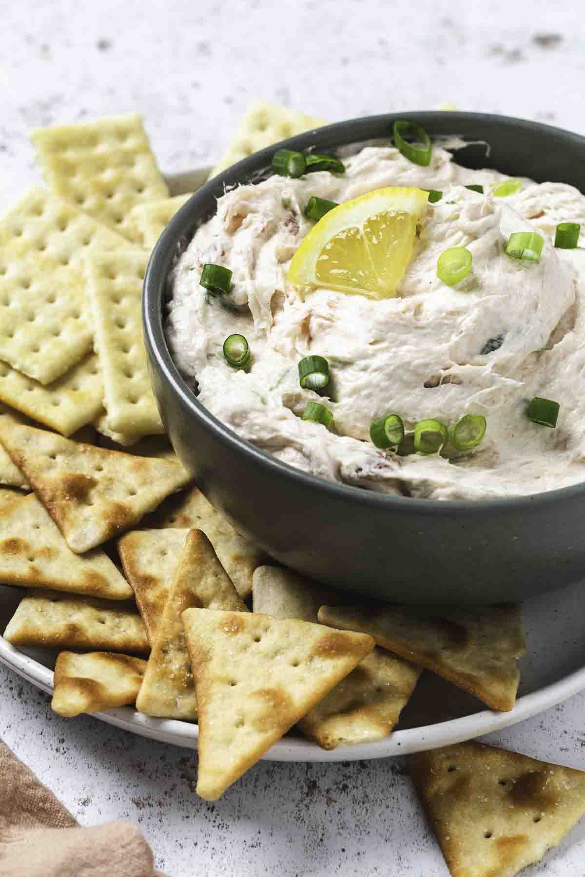 Smoked salmon dip in a green bowl on a light colored plate with crackers and pita chips.