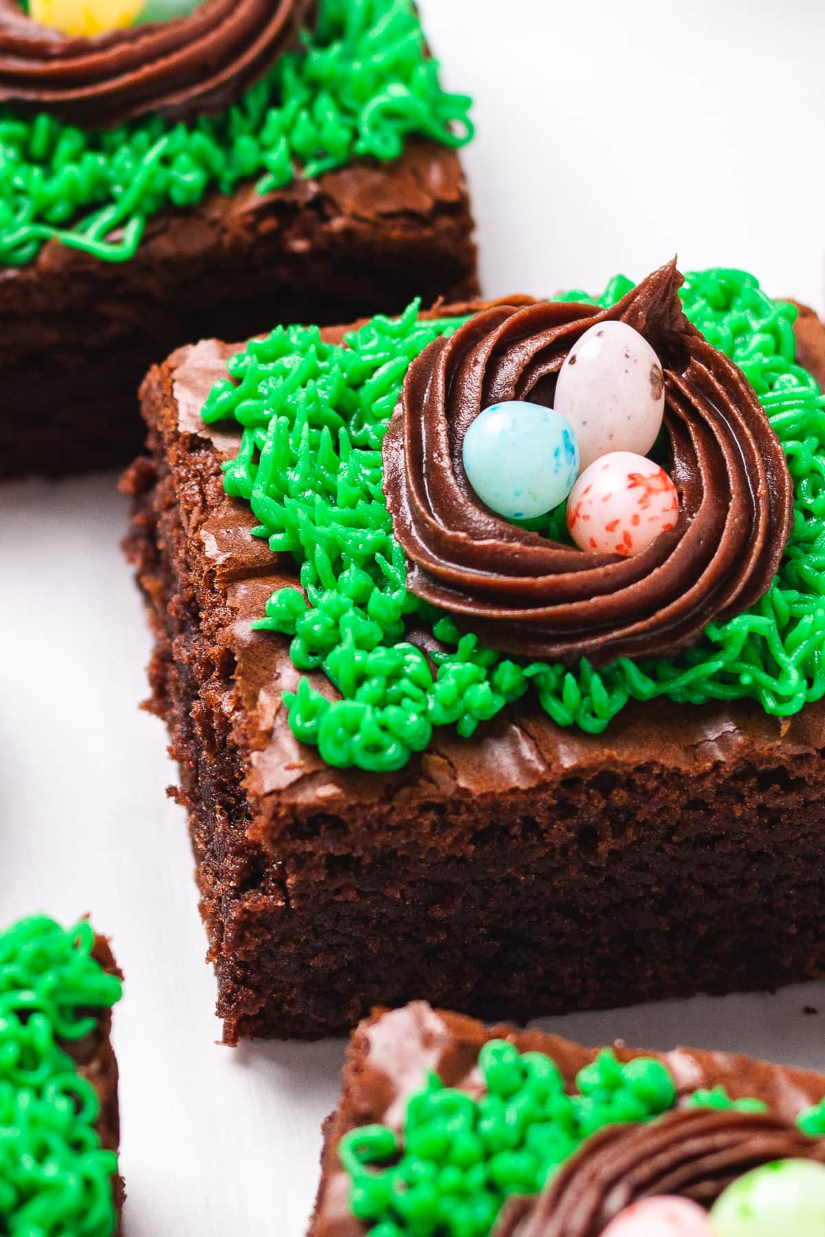 Close-up of Easter brownie topped with chocolate nest and colorful jelly bean eggs