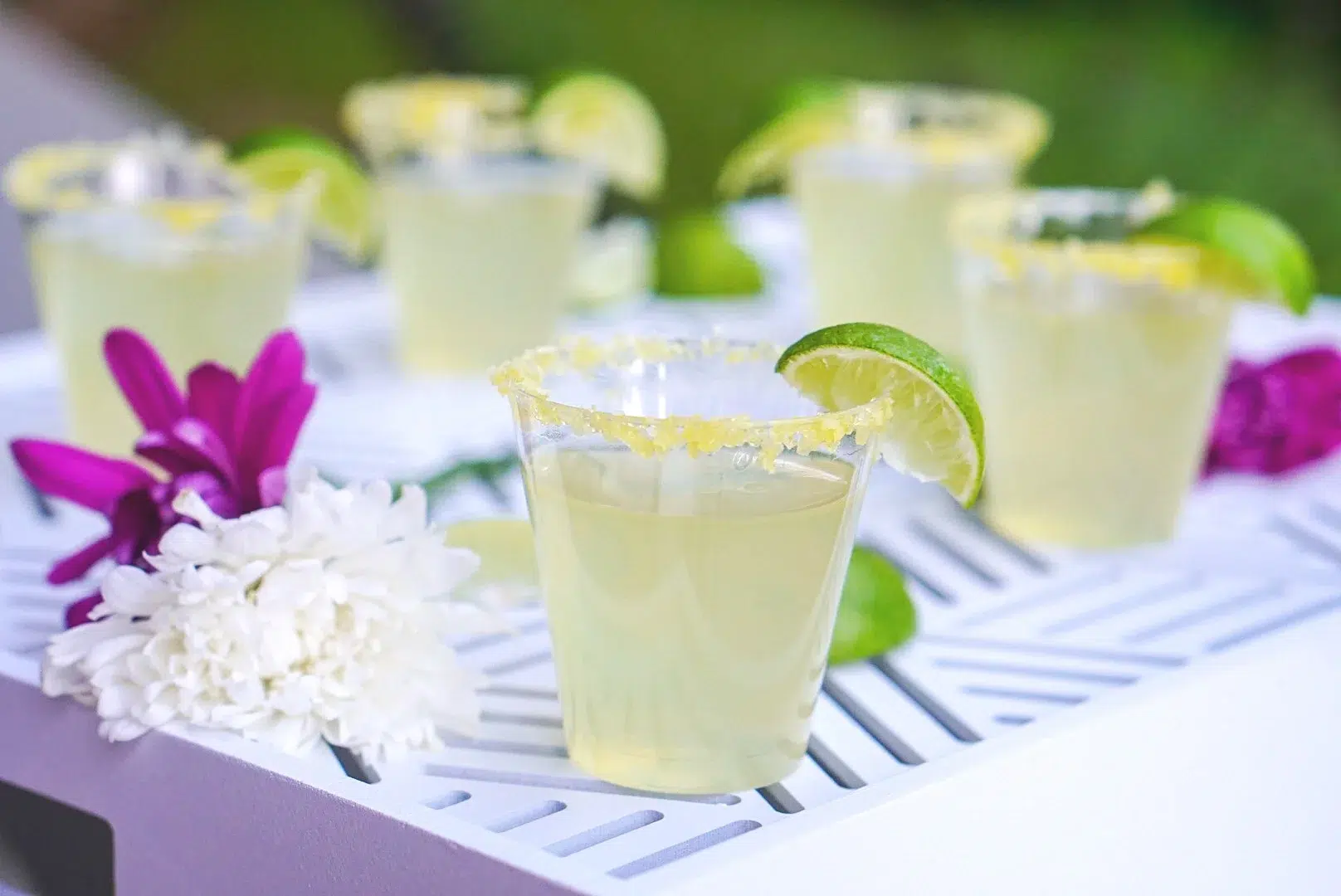 Margarita jello shots in small cups with lime garnish.