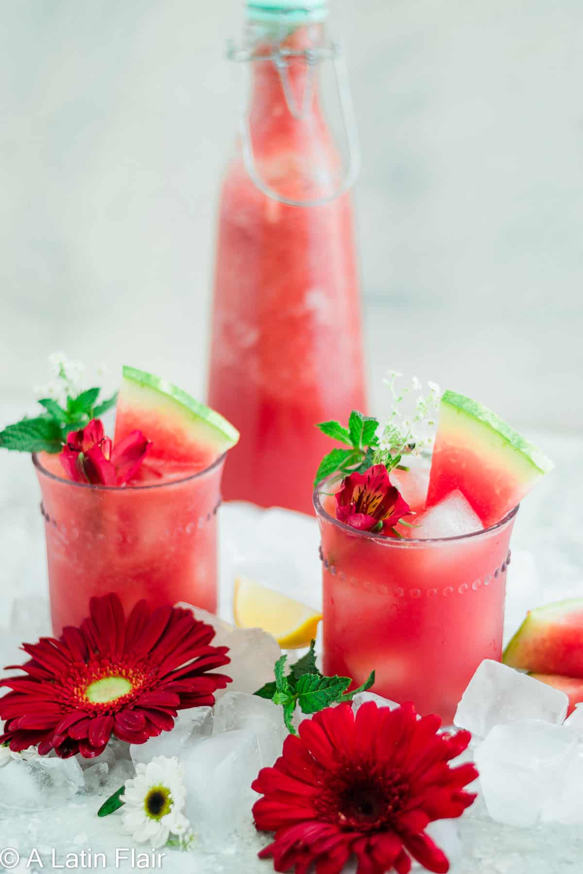 Watermelon agua fresca with ice, fresh watermelon slices, and mint garnish.