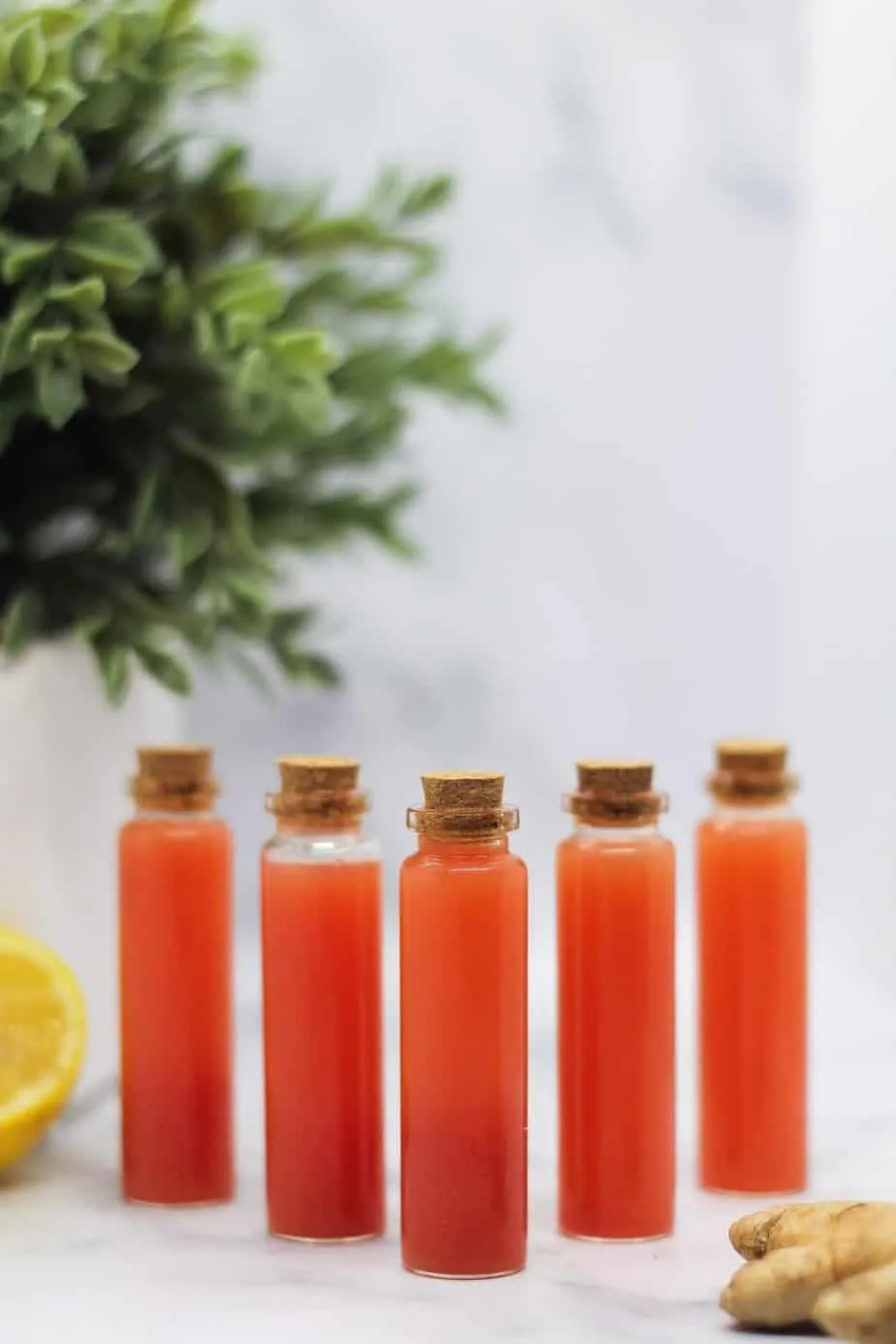 Watermelon lemon ginger wellness shots in bottles.