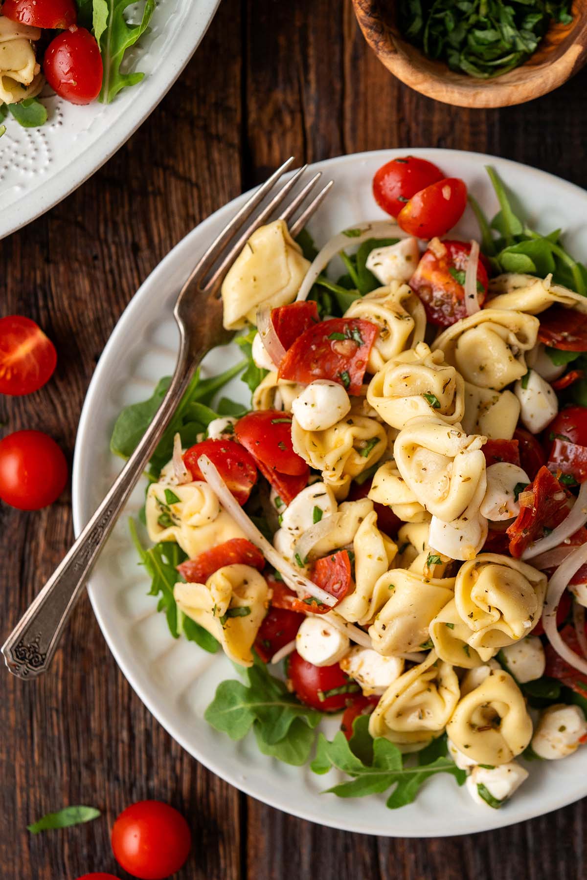 Tortellini pasta salad with cherry tomatoes, mozzarella, and fresh herbs.