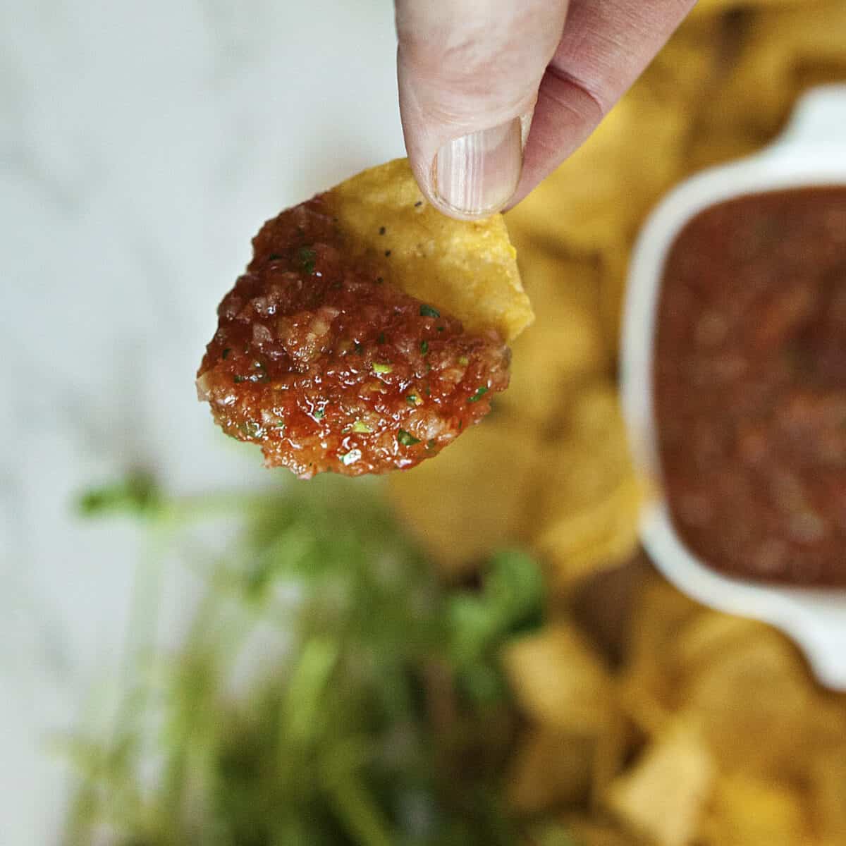 Tortilla chip dipped in fresh red salsa with a bowl of salsa in the background.